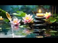 Relaxing Music to Rest the Mind - Meditation Music, Nature Sounds, Stress Relief, Zen, Bamboo, Yoga