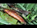 fishing with beautiful Nature | Cooking fish Traditional in banana leaves