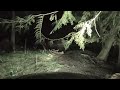 Night driving on abandoned Forest Road [ASMR/scary]