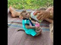 Pitiful Baby DAM Laying On Mat Get Moody Of Mom Let Him Sit Down