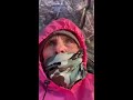 Climbers Camp Mount Baker