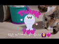 벌레야~사이좋게지낼까?😻👯Bug~will you get along well?