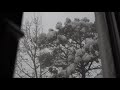 Colorado Springs Blizzard