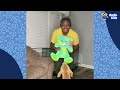 Why Does This Dog Go Bananas Around Grandma? | Dodo Kids | Animal Videos