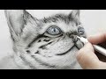 How to Draw a Cat Sitting So Realistic, You'll Think It's Alive