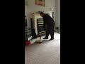 Angry dad vacuums lol