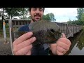 1 Hour of GIANT Bluegill FISHING from the BANK!!