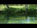4K [Azumino] May : Beautiful Azumino water scenery