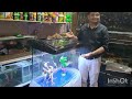 Unboxing Imported Glass Aquarium | RS- 700EL Aquarium | Imported Fish Tank 2.5 feet | #aquarium
