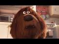 Max Gets a New... Brother? | The Secret Life of Pets | Animated Cartoons For Children