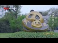 【正片】《熊猫家园》（上）【精品纪录片】