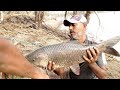 Incredble Big Rohu fishes hunting & Catching by Professional Fisherman|Unbelievable Hook fishing
