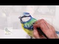 Elevate Your Creativity with Watercolor Pencils and Coloured Pencils | Drawing a Songbird