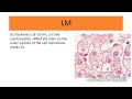 1a-Structure of cell membrane-Part1- Lipids and Proteins