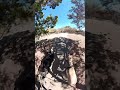 Insta360, running with my dogs