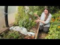 Incredible Abundance in an Extreme Climate (Undercover Permaculture)
