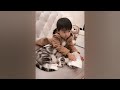YOU LAUGH YOU LOSE😻Best Funny Animals Video 2024😬🐶