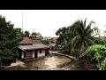 Super Heavy Rain Pouring MyVillage|The sound of lightning in the village remains focused on learning