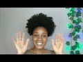 The Best Tips and Tricks for the Perfect High Puff // No added Hair