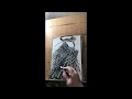 Drawing And Inking A Grim Reaper Timelapse Video