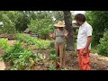 Florida Food Forest Tour By Expert Permaculture Instructor