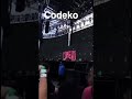 Electric Zoo 2018: Day 2