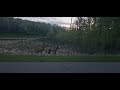 Sneaking up on some elk