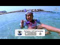 Best Snorkeling in Destin Florida | Sea Turtles, Stingrays and More!