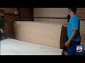 Proses pembuatan plywood dari kayu sengon part 46 | Proses grading plywood