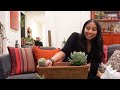 Three Cacti & Succulent Planter Arrangements Get A Repot, Replant & Refresh