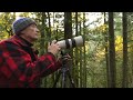 We Were Being Watched - Nature And Landscape Photography