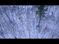 🌲Tree Top Snow ❄️4K 🎄