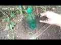 HOW TO MAKE A DRIPPER DIRECTLY AT THE ROOTS OF PLANTS