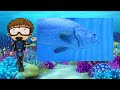 Learn About Sea Creatures