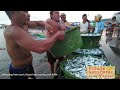 ESTANCIA FISHING PORT Walking Tour | Largest Municipal Fish Port in the Philippines |