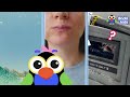 Can YOU Help These Animal Moms Rescue Their Babies? | Dodo Kids | Story Game