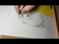 Graphic Ink Illustration. Pet portrait, stippling using technical pens.