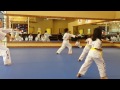 Taekwondo Yellow Belt Poomsae - Taeguek Il Jahng