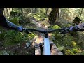 PLEASURE TRAIL | Double black trail | Squamish - Alice Lake