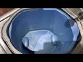 Get Rid of Pet Urine / Pee Smell in Carpet Fast Cheap and Easy