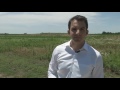 Ancient Village Found in Central Illinois Corn Field