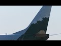 RARE American Airlines Reno Heritage 737 Arrival! (BUF) 6/14/22