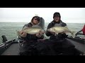 TROLLING Technique Catches GIANT Lake ERIE Walleyes!!