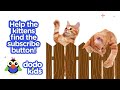 Pocket-Sized Kitten Grows Up To Be A Ninja Cat | Baby 2 Big | Dodo Kids