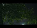 Heavy Rain in Tropical Forest At Night | Rainstorm Sounds Natural White Noise 10 Hours