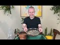 Repotting Plants For The Spring | Houseplant Tips & Tricks Ep. 31