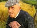 Vintage Farming in Ireland Documentary 