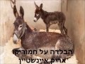 פלייליסט ללא פרסומות השירים היפים של סשה ארגוב חלק א