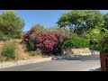 Explorando el impresionante Parque de Marbella | Video en 4K 60FPS |
