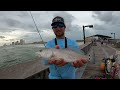 Fishing the GULF STATE PIER | MULTIPLE Species